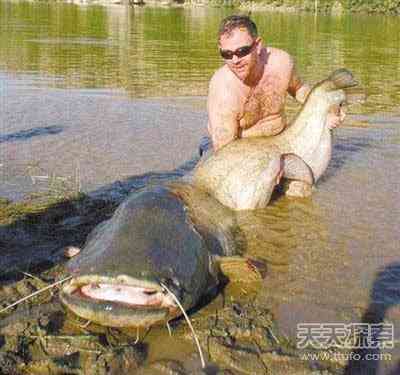 世上真有“成精”动物 99%的人没见过