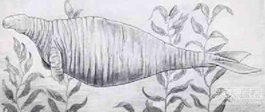 盘点已灭绝的10大动物：凶残袋狼1936年灭绝