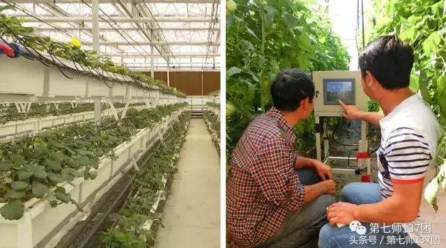 1494839686503265.jpg 1111.jpg