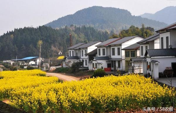 1494919457568613.jpg aaaa.jpg