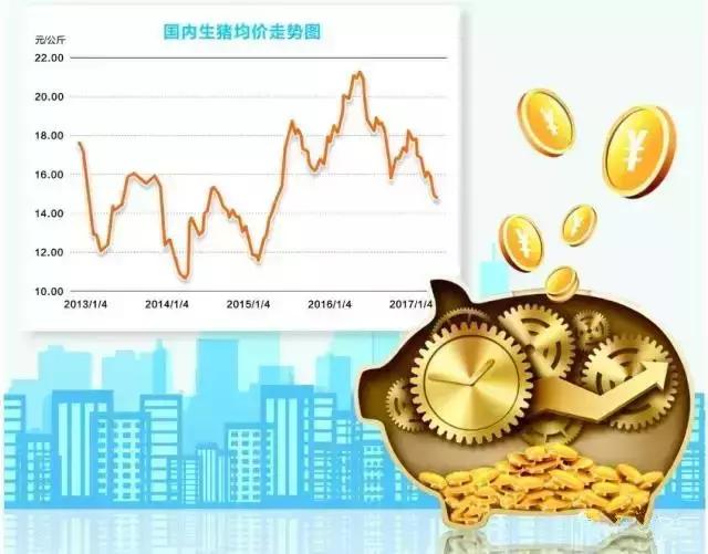 1495016417277208.jpg 102.jpg