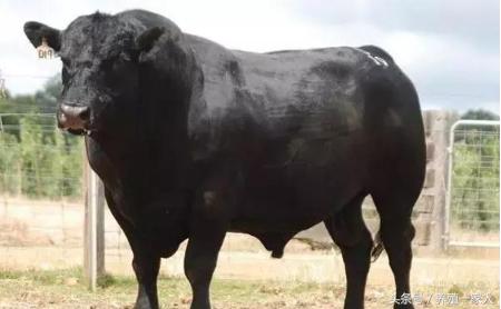 1495751475754788.jpg 47.jpg