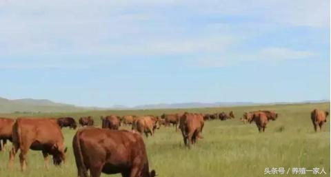 1495751527378372.jpg 48.jpg