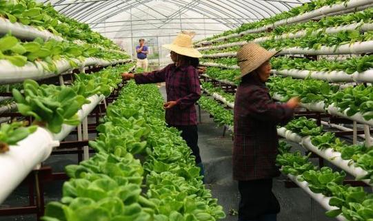 1502023230735781.jpg h3.jpg