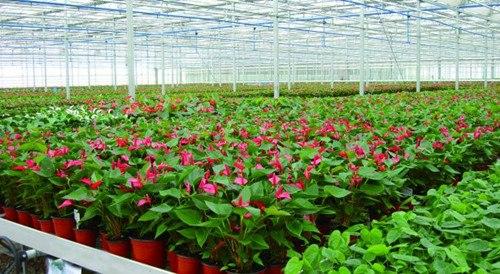 1502023245649684.jpg h4.jpg