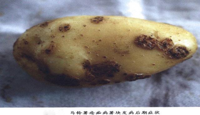 1502662179695916.jpg 05.jpg