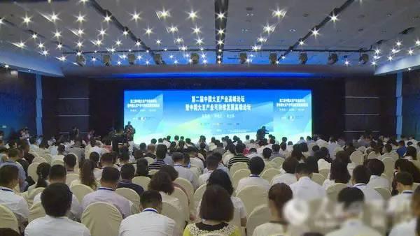 1503025162187364.jpg 10.jpg