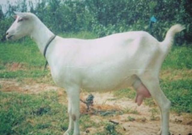 1503398682710605.jpg 3.jpg