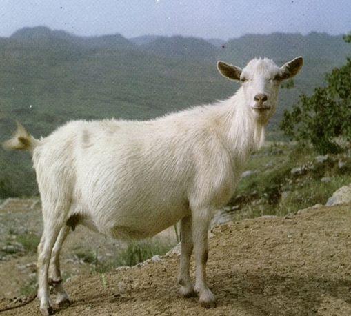 1503398722710855.jpg 6.jpg