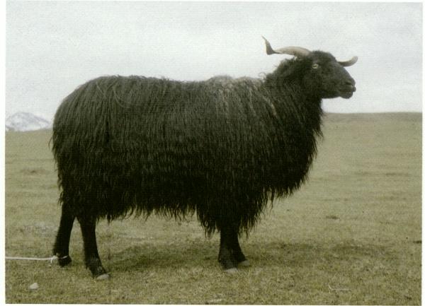 1503398736321170.jpg 7.jpg