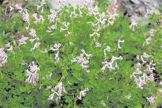 1504007721191671.jpg 001.jpg