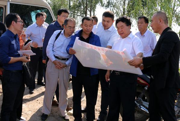 1505175731820089.jpg 10.jpg