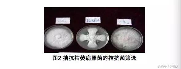 1506552909923742.jpg 001.jpg