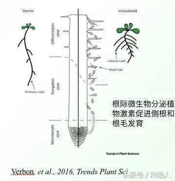 1506552925929046.jpg 002.jpg