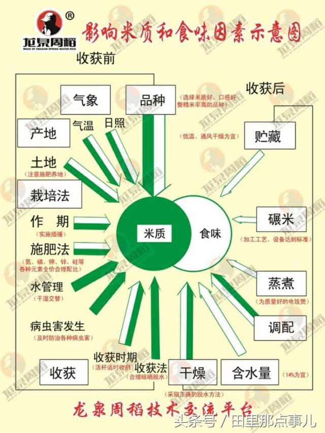 1511165529320023.jpg 114.jpg