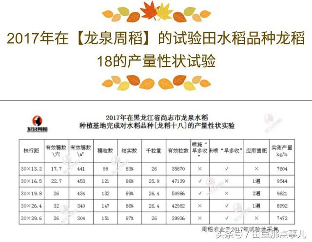 1511165562653528.jpg 115.jpg