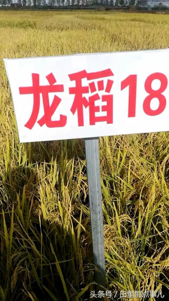 1511165690257435.jpg 118.jpg