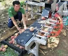 1515035626189403.jpg 1.webp.jpg