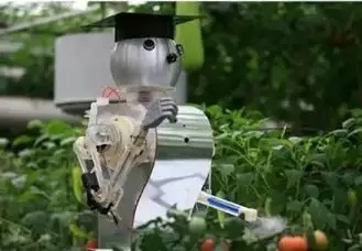 1515035660692257.jpg 2.webp.jpg