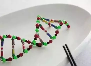 1515035673654532.jpg 3.webp.jpg