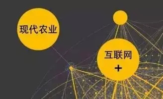 1515035711710172.jpg 6.webp.jpg