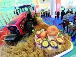 1515035725336142.jpg 7.webp.jpg