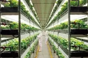 1515035749133847.jpg 8.webp.jpg