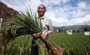 1515035782591025.jpg 10.webp.jpg