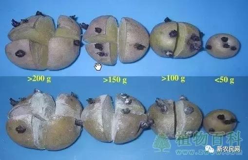 1522684573235753.jpg 76.jpg