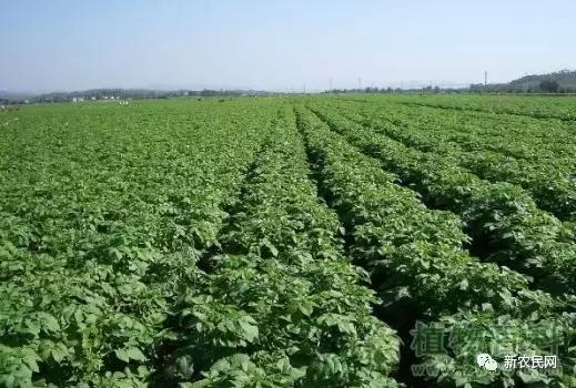 1522684594213594.jpg 77.jpg