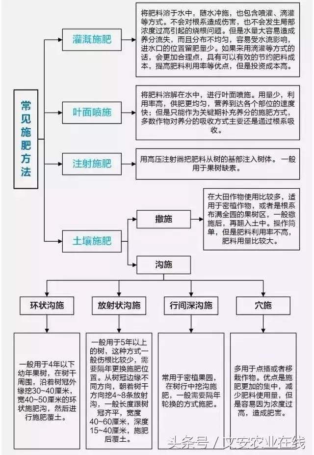 1541242907591895.jpg 13.jpg